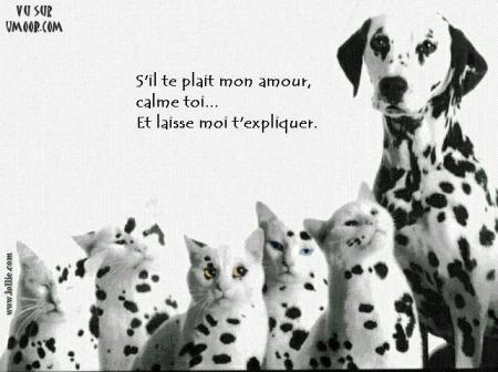 humour